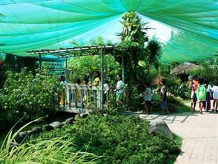 Pineapple Island Resort Daet Exterior photo